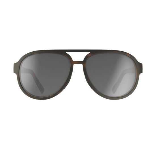 Очки SCOTT Bass (tortoise brown grey)