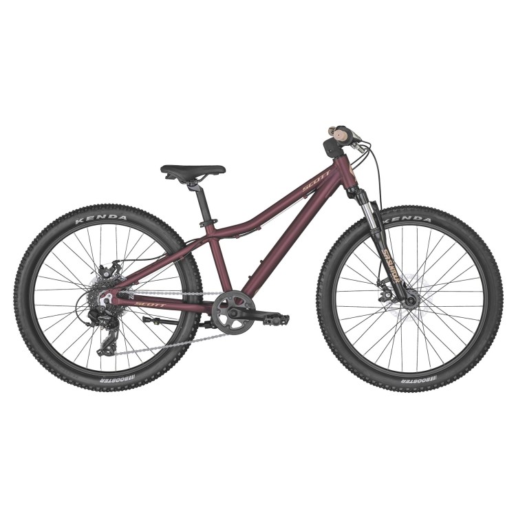 Contessa 24 2025