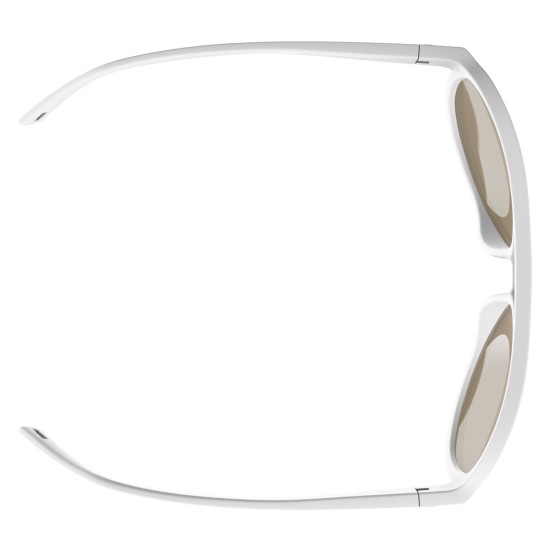 Очки SCOTT Bass white brown