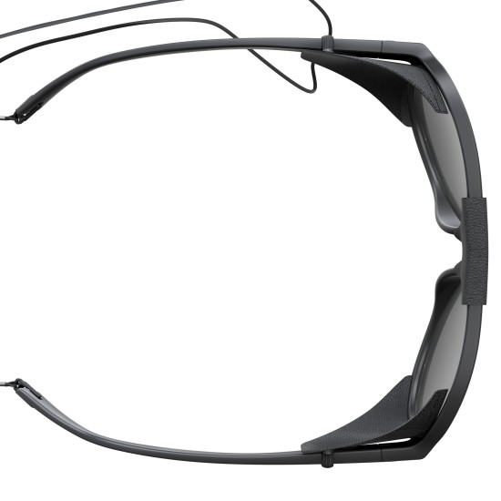 Очки SCOTT Cervina (black/grey)